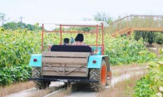 疯狂农场3之美国派 疯狂农场3之美国派